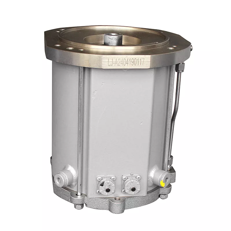 Roots Vacuum Pump Motor