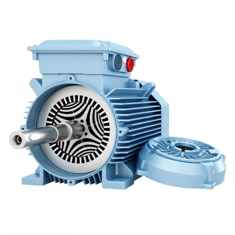 IP65 비자성 동기 모터